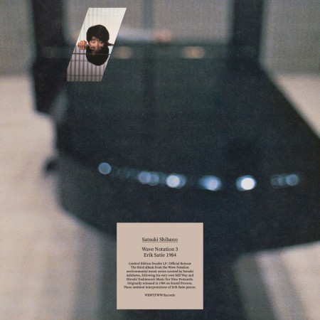 Satsuki Shibano: Wave Notation 3: Erik Satie 1984 (Reissue) - Plak
