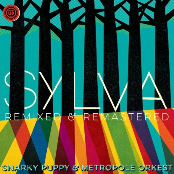 Snarky Puppy - Sylva (Remixed & )