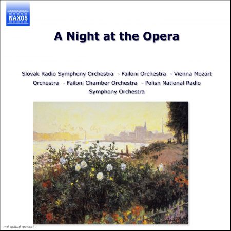 Night At The Opera (A) - CD