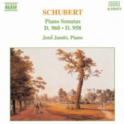 Schubert: Piano Sonatas Nos. 21, D. 960 and 19, D. 958 - CD