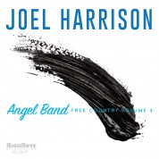 Joel Harrison: Angel Band: Free Country Vol. 3 - CD
