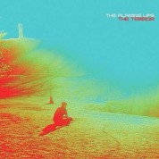 Flaming Lips: The Terror - CD