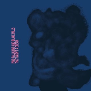 Pino Palladino, Blake Mills: That Wasn't A Dream - Plak