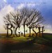 Big Fish - Soundtrack - Plak