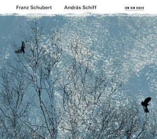 András Schiff: Schubert: Fortepiano - CD