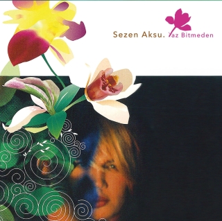 Sezen Aksu: Yaz Bitmeden - Plak