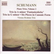 Vienna Brahms Trio: Schumann, R.: Piano Trios, Vol.  2 - CD