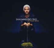 Shai Maestro: The Stone Skipper - CD
