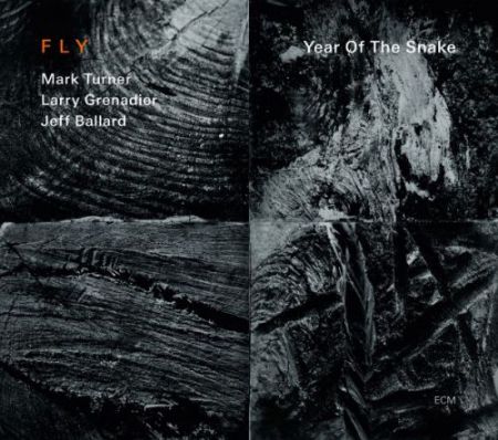 Fly Trio: Year of the Snake - CD