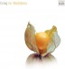 Grieg: For Meditation - CD