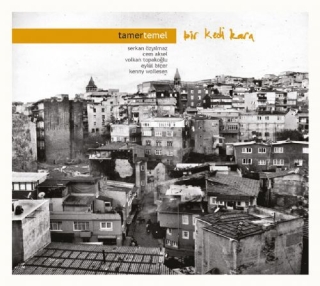 Tamer Temel: Bir Kedi Kara - CD