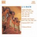 Bach, J.S.: Organ Chorales / Preludes and Fugues / Fantasia - CD