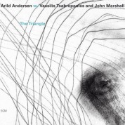Arild Andersen, Vassilis Tsabropoulos, John Marshall: The Triangle - CD