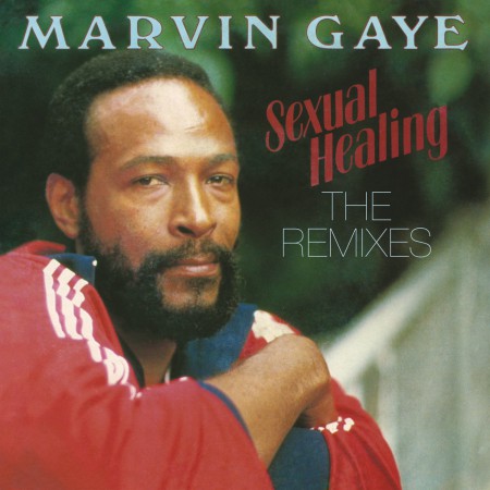 Marvin Gaye: Sexual Healing: The Remixes - Plak