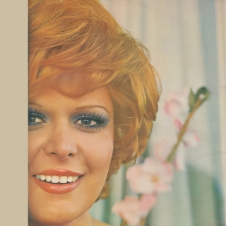 Neşe Karaböcek: Deli Gibi Sevdim - Plak