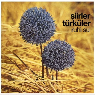 Ruhi Su: Şiirler ve Türküler - Plak