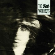 The Waterboys - Plak