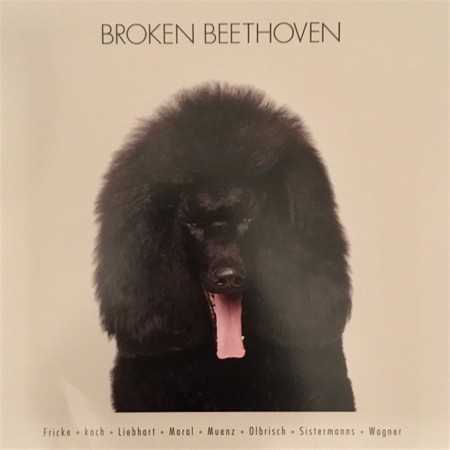 Çeşitli Sanatçılar: Broken Beethoven - Plak