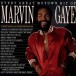 Every Great Motown Hit Of Marvin Gaye - Plak