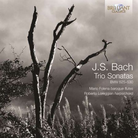 Mario Folena, Roberto Loreggian: J.S. Bach: Trio Sonatas, BWV 525-530 - CD