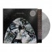 Friendly Fires (15th Anniversary - Limited Edition - Silver Vinyl) - Plak