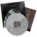 Friendly Fires (15th Anniversary - Limited Edition - Silver Vinyl) - Plak