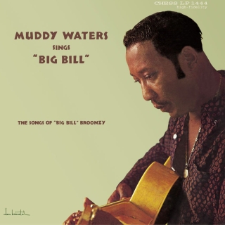 Muddy Waters Sings Big Bill Broonzy - Plak