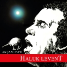 Haluk Levent: Akşam Üstü - Plak Foto #1