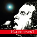 Haluk Levent: Akşam Üstü - Plak