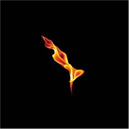 Turin Brakes: Dark On Fire - CD