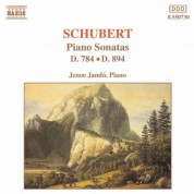 Schubert: Piano Sonatas, D. 784 and D. 894 - CD