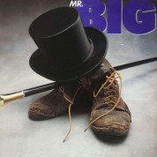 Mr. Big (Limited Edition - Blue Vinyl) - Plak