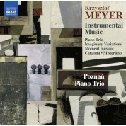 Poznan Piano Trio: Krzysztof Meyer: Instrumental Music - CD