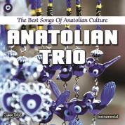 Ayhan Günyıl, Eyüp Hamiş, Murat Aydemir: Anatolian Trio - CD