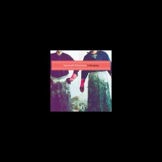 Süpermatik & Randoman: Undesigning - CD