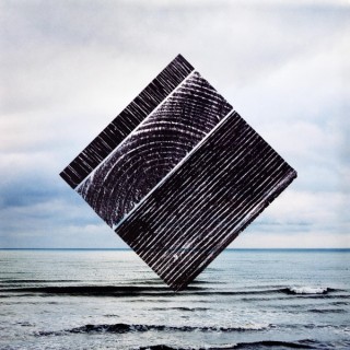 Fink: Perfect Darkness - Plak