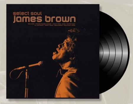 James Brown: Selected Soul - Plak