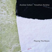 Avishai Cohen, Yonathan Avishai: Playing The Room - Plak
