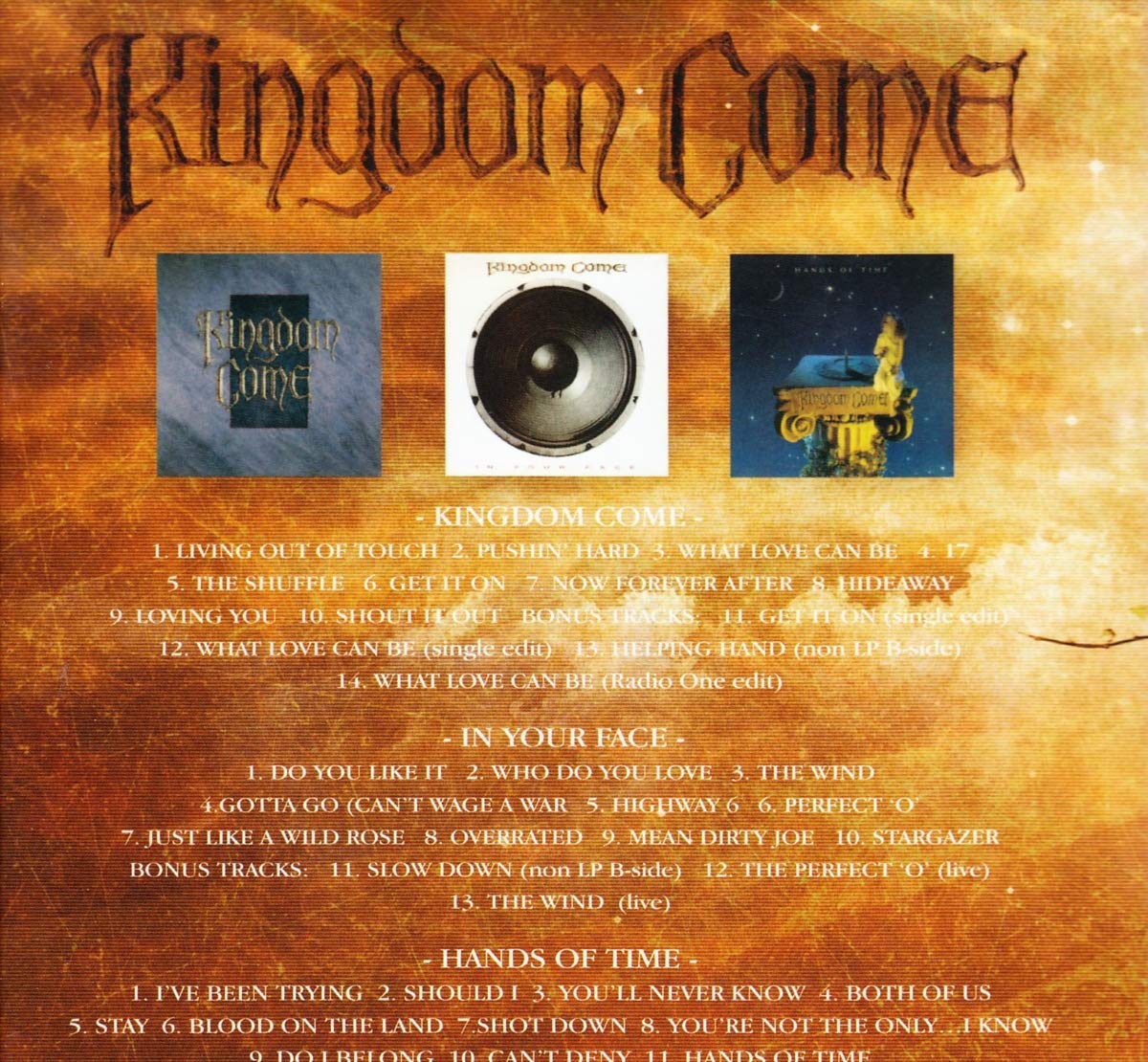 ミュージック SLY/LIVE KINGDOM COME(LD) SLY / スライ ページ-