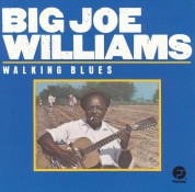 Big Joe Williams: Walking Blues - CD