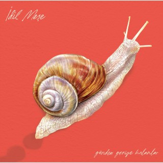 İdil Meşe: Günden Geriye Kalanlar - Plak