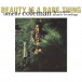 Beauty Is A Rare Thing - The Complete Atlantic Recordings - CD