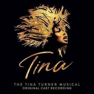 Çeşitli Sanatçılar: Tina: The Tina Turner Musical Original Cast Recording - Plak